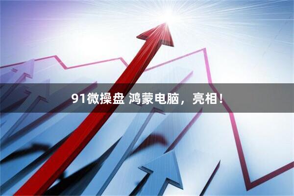 91微操盘 鸿蒙电脑，亮相！