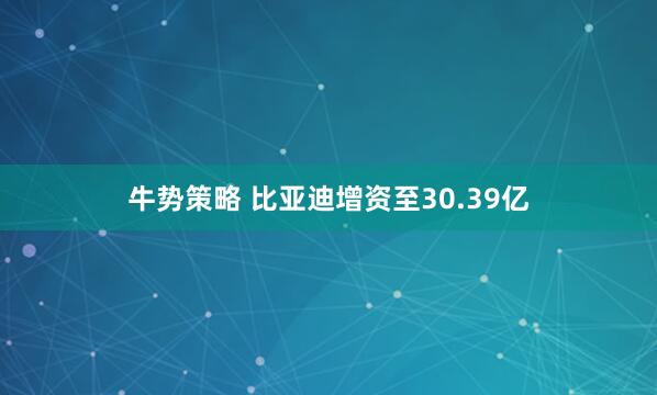 牛势策略 比亚迪增资至30.39亿