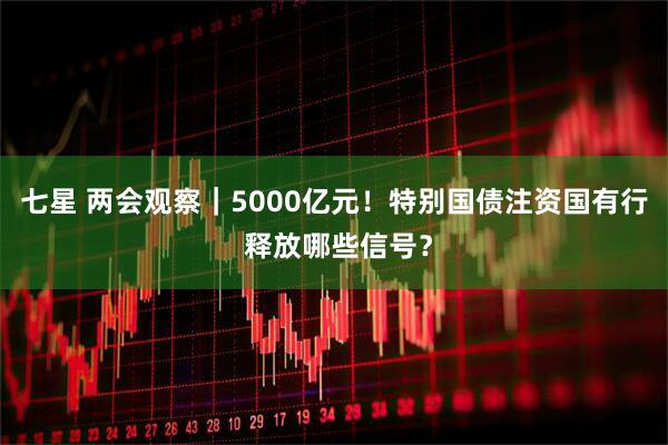 七星 两会观察｜5000亿元！特别国债注资国有行 释放哪些信号？