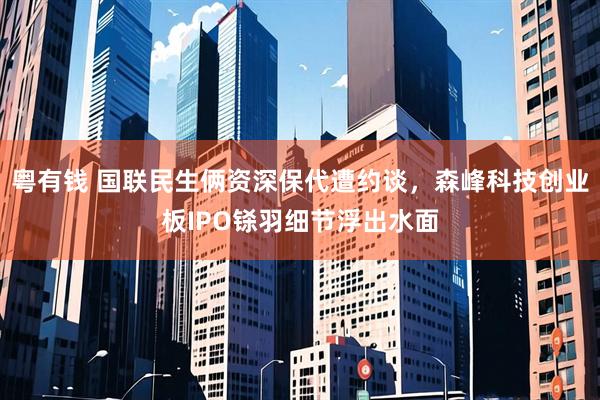 粤有钱 国联民生俩资深保代遭约谈，森峰科技创业板IPO铩羽细节浮出水面