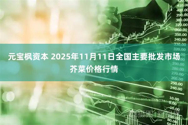 元宝枫资本 2025年11月11日全国主要批发市场芥菜价格行情